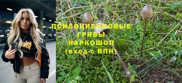 скорость Мегион