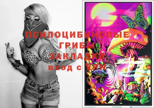 молекула духа Ачинск
